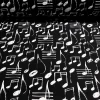 Black Musical Notes Fabric