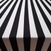 Black and White Medium Striped Fabric