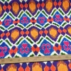 Colorful Tribal Print Fabric