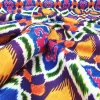 Colorful Tribal Print Fabric