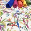 Watercolor Birds of Paradise Fabric