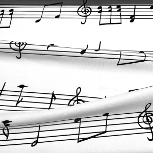 White Musical Notes Fabric