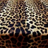 Leopard Print Fabric