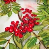 Christmas Holly Berry Fabric - Watercolor Holly Leaves