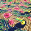 Tropical Toucan Birds Fabric