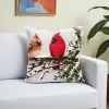 Christmas Bird Pillow Covers