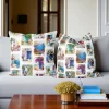 Mediterranean Windows and Doors Pillow Cover
