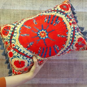 Orange Kilim Print Tassel Pillow Cover
