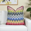Retro Chevron Zigzag Piped Pillow Cover